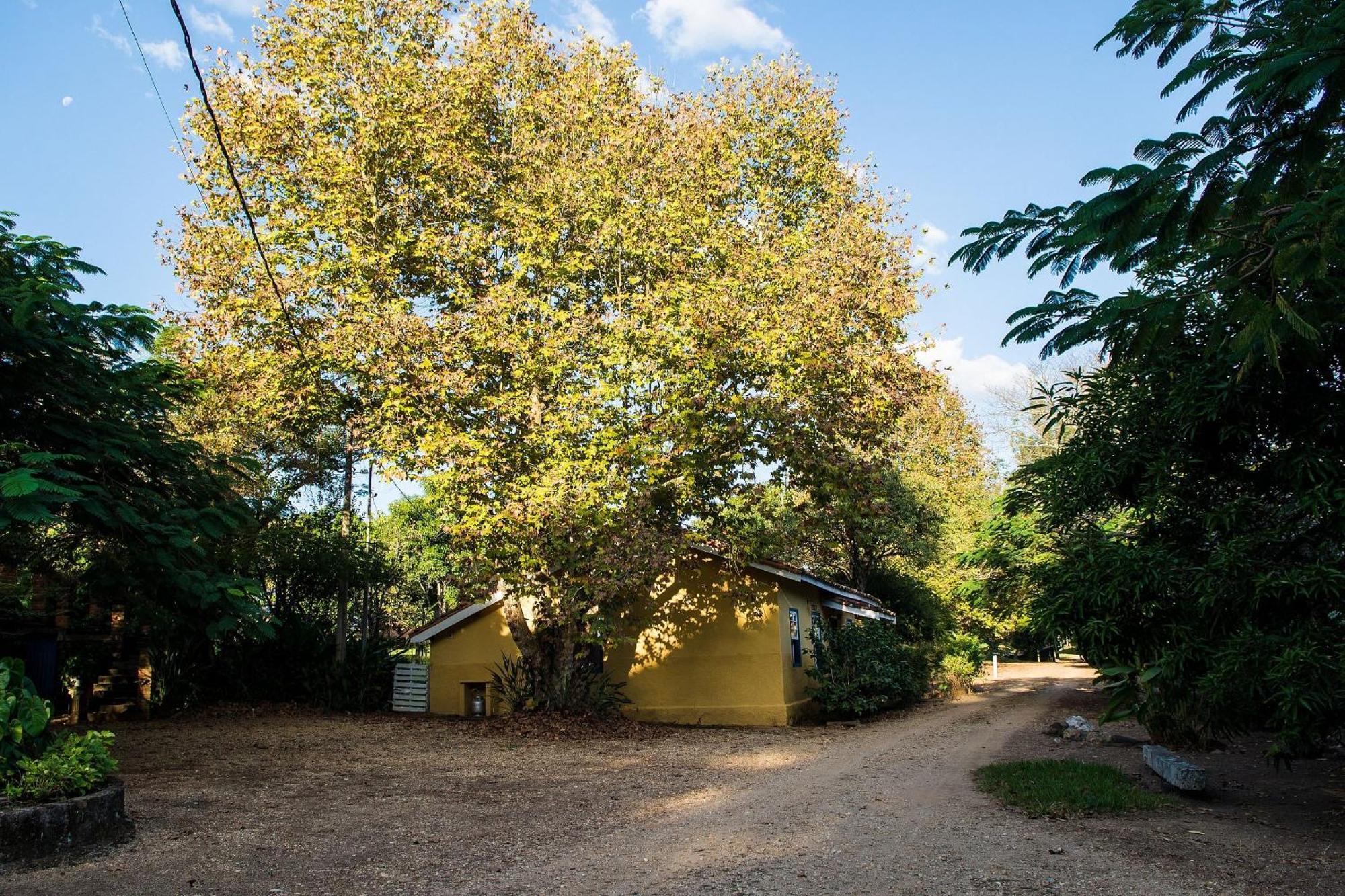 Fazenda Santa Thereza - Itapira Exterior photo