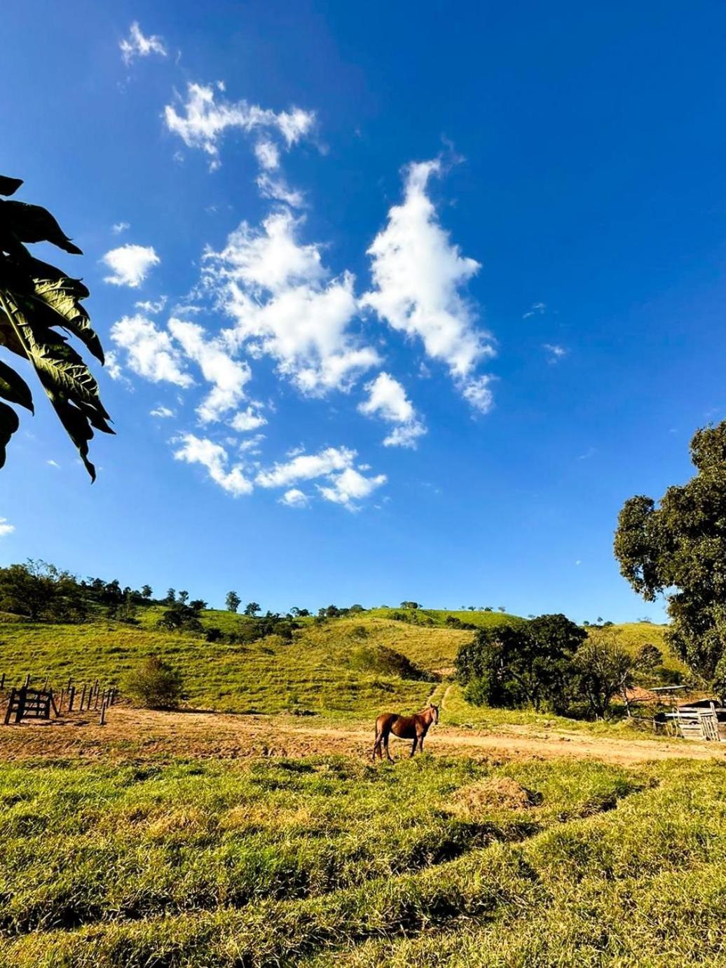 Fazenda Santa Thereza - Itapira Exterior photo